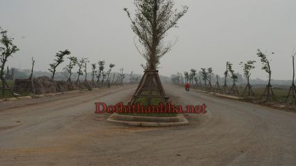 Cập nhật bảng hàng mới nhất Biệt thự Thanh Hà Mường Thanh