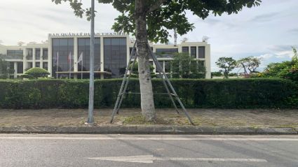 Bán Biệt thự Thanh Hà A2.5 BT02 diện tích 240m2 mặt tiền 10m hướng Đông Nam đường 14m gần ban quản lý Thanh Hà #H5413.517