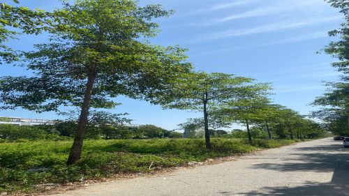 BÁN BIỆT THỰ THANH HÀ B2.2 BT09 DIỆN TÍCH 200M2, MẶT TIỀN 10M, HƯỚNG CHÍNH NAM, ĐƯỜNG 14M