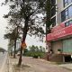 BÁN BIỆT THỰ THANH HÀ B2.4 BT05 DIỆN TÍCH 300M2, MẶT TIỀN 10M, HƯỚNG TÂY, ĐƯỜNG 60M, GẦN NGÂN HÀNG